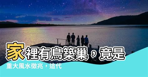 有鳥來家裡築巢|【家有鳥巢】家有鳥巢，居家風水亨通！揭開野鳥築巢。